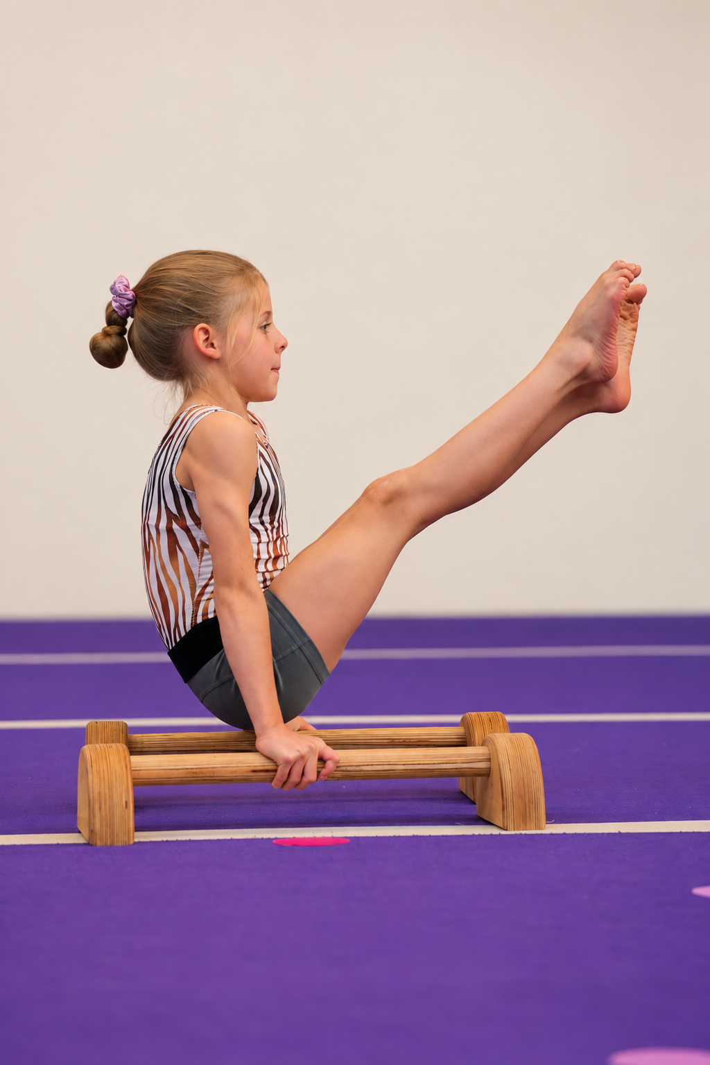 Bloxx Special Edition Parallettes | 100% Birch Plywood